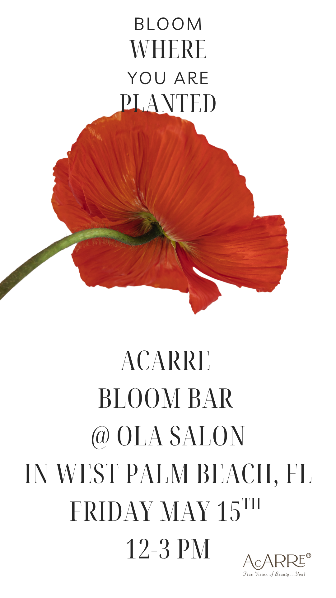 AcARRE Bloom Bar at Ola Salon